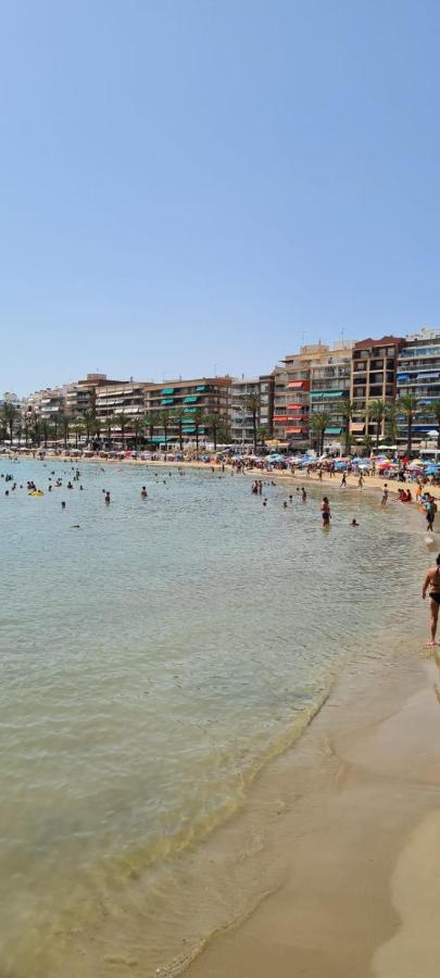Calle Maestro Parada Torrevieja Zewnętrze zdjęcie